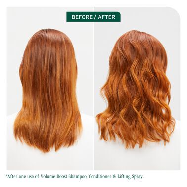 Volume Boost Root Lift Spray - Biolage Renovation NZ | L'Oréal Partner Shop
